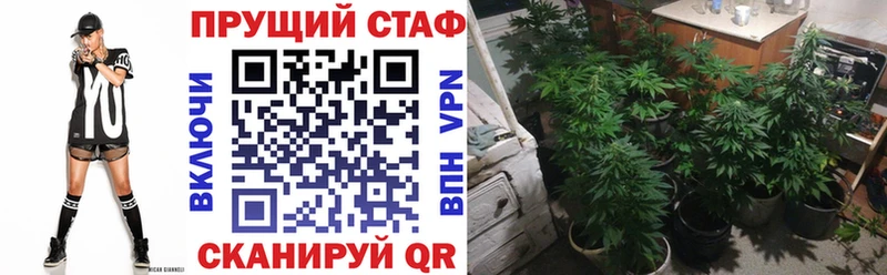 Купить закладку СОЛЬ  Меф  Галлюциногенные грибы  Гашиш  Марихуана  COCAIN  Фрязино