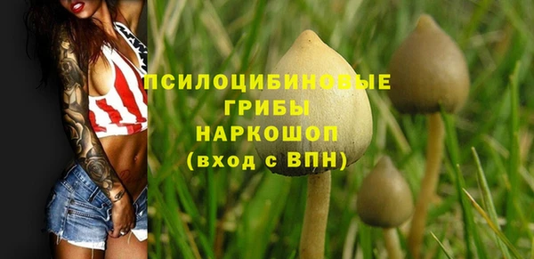 Альфа ПВП Пролетарск